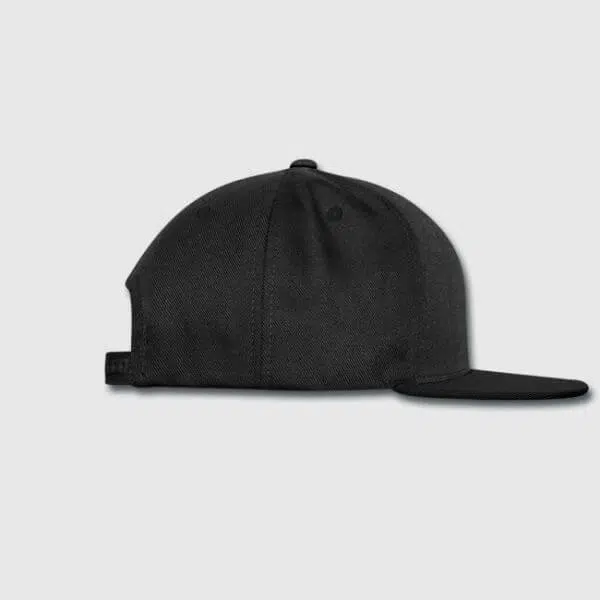 Afterpresent Snapback Cap