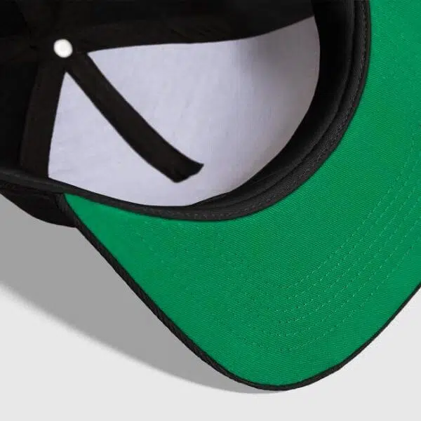 Afterpresent Snapback Cap