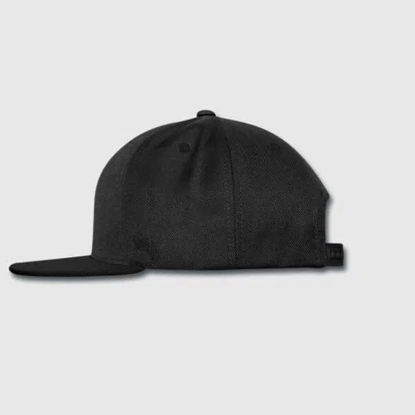 Afterpresent Snapback Cap